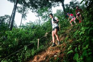 BIB: 
                            <button type="button" onclick="openModal(26202070)" class="btn btn-primary btn-sm float-right btn-popup" data-toggle="modal" data-target=".modal-high-quality">
                        <i class="fas fa-shopping-cart"></i> Add to Cart
                    </button>
                                            <button type="button" onclick="isThisMe(26202070, true)" class="btn btn-success btn-sm float-right btn-popup btn-isme hidden" data-toggle="tooltip" data-placement="bottom" title="นี่คือรูปของคุณใช่ไหม คลิกที่นี่เพื่อเอาเข้าอัลบั้ม">
                        <i class="fas fa-plus"></i> Add to album
                    </button>
                    <button type="button" onclick="isThisMe(26202070, false)" class="btn btn-warning btn-sm float-right btn-popup btn-isnotme hidden">
                        <i class="fas fa-ban"></i> Remove from album
                    </button>